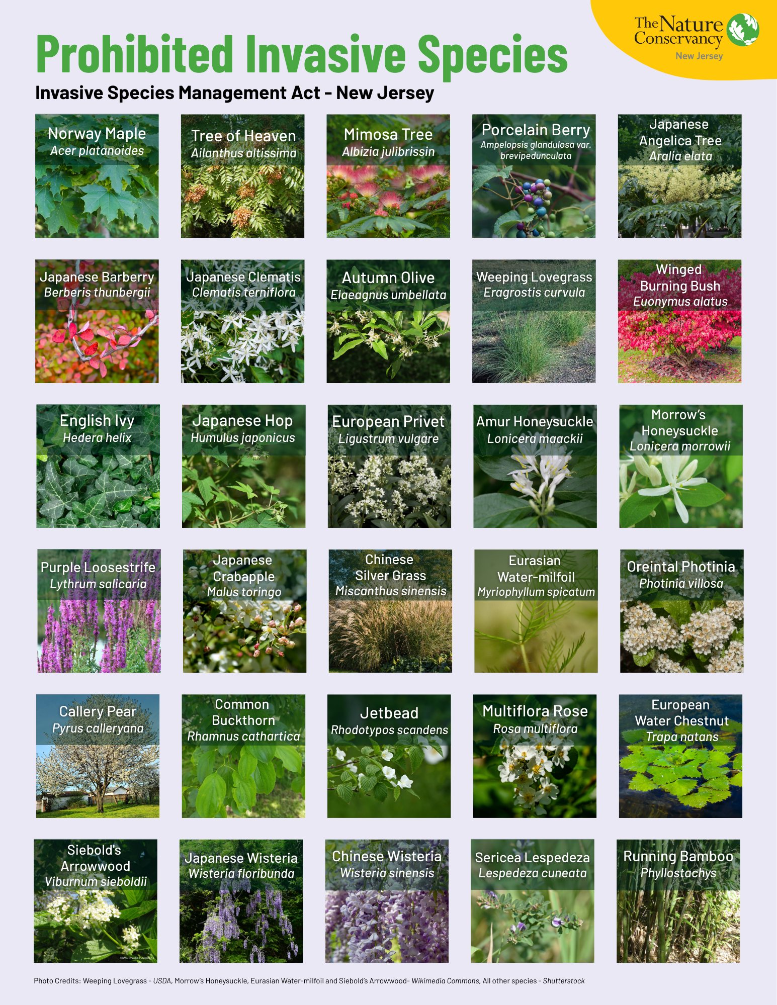 Images of banned species